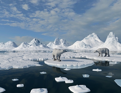 polar bear polar glacier 3d model