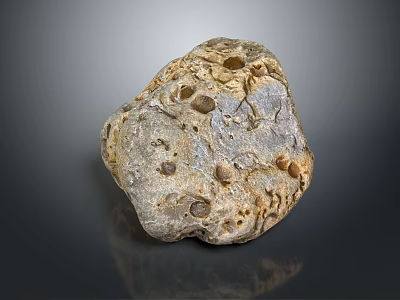 Wood Stone Material With Natural Textured Surface And Hole Structures For Decorative Use 3d model