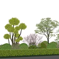 Shaped Shrubs And Trees In Landscaped Garden With Green Lawn And Pathway