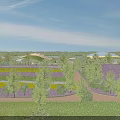Scenic Rural Flower Fields With Purple Yellow Blooms Green Trees Blue Sky And Path