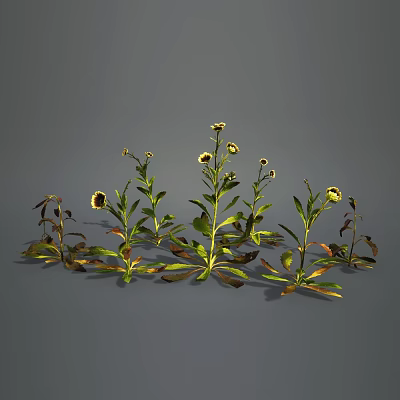 Modern Cartoon Plants Outdoor Landscape Flowers Trees Plants 3d model