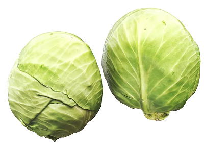 Fresh Green Cabbage Vegetables Displaying Whole Structure and Vibrant Leaves 3d model
