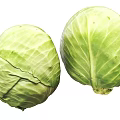 Fresh Green Cabbage Vegetables Displaying Whole Structure and Vibrant Leaves