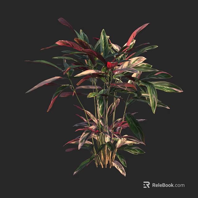 Indoor Foliage Plant Featuring Green And Red Variegated Leaves With Diverse Shapes 3d model 