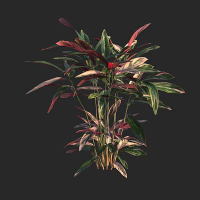 modern plant green plant 3d model
