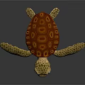 3D Rendered Turtle With Brown Patterned Shell Yellow Flippers And Big Eyes