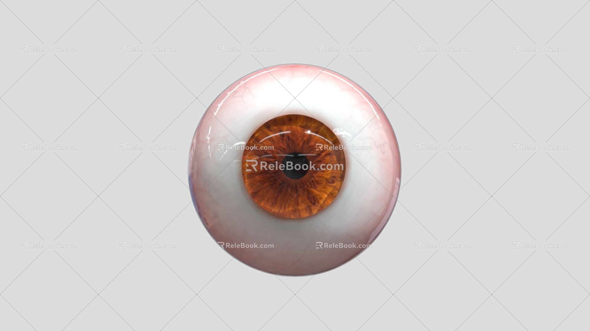 Modern Eyes 3d model