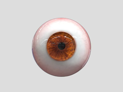 High Quality Ophthalmic Medical Device Artificial Eye Model for Surgical Training 3d model