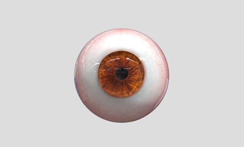 Modern Eyes 3d model