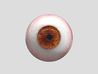 Modern Eyes 3d model