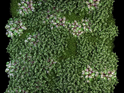 Living Plant Wall With Lush Green Foliage And Purple Accent Plants For Natural Indoor Decor 3d model
