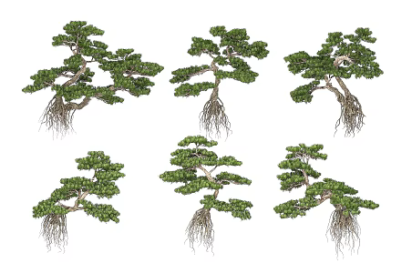 Lohan pine landscape tree 3d model