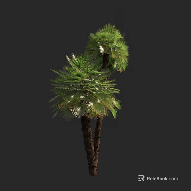 Two Green Palm Trees With Lush Fronds And Brown Trunks In Dark Setting 3d model 