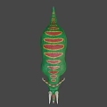Green Plastic Triceratops Dinosaur Model With Red Spiked Head And Back