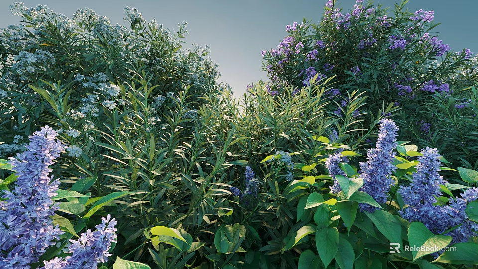 Lush Bushes With Purple Flowers And Green Leaves In Garden Landscape 3d model 