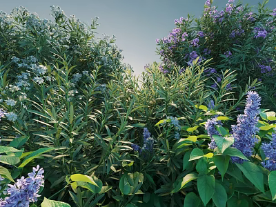 Lush Bushes With Purple Flowers And Green Leaves In Garden Landscape 3d model
