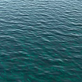 Translucent Turquoise Water Sphere With Delicate Rippled Light Caustic Texture On Solid White Background