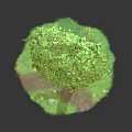 Cartoon Scene With Big Tree Green Leaves Rock Small Creature On Grass And Red Mushrooms