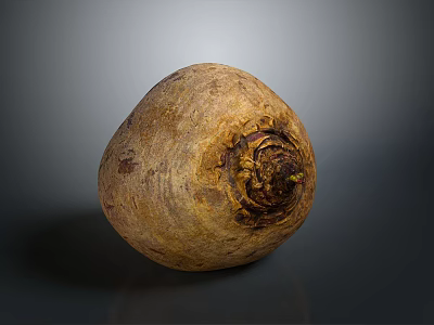 Fresh Whole Raw Beetroot with Natural Earthy Texture and Rough Surface 3d model