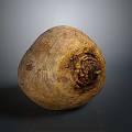 Fresh Whole Raw Beetroot with Natural Earthy Texture and Rough Surface
