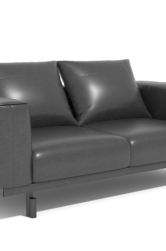 Leisure sofa double sofa 3d model