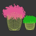 Bonsai Potted Plants with Black Brown Woven Pots Yellow Purple Flowers and Green Leaves