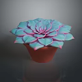 Vibrant Succulent Plant With Blue Pink Leaves In Brown Ceramic Pot