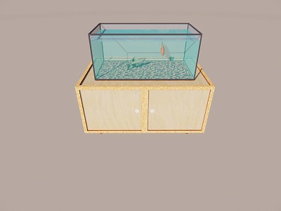 Modern fish tank model