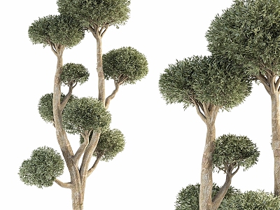 Modern Trees 3d model