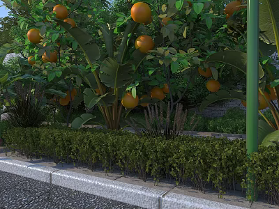 Garden Landscape Featuring Orange Trees with Ripe Fruits Green Plants Roadside Low Shrubs and Rocks 3d model