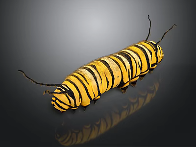 Yellow and Black Striped Caterpillar With Antennae on Shiny Surface 3d model