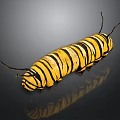 Yellow and Black Striped Caterpillar With Antennae on Shiny Surface