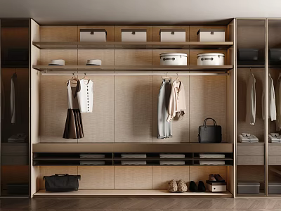 Modern Wooden Wardrobe Interior With Hanging Clothes Storage Boxes Drawers Shoes And Bags 3d model