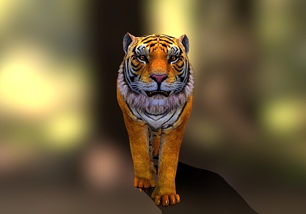 Tiger Reptile Feline Amur Tiger 3d model