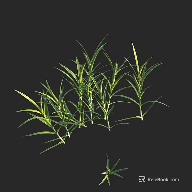 Lush Green Ground Cover With Slender Leaves And Multiple Stems 3d model