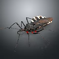 Assassin Bug With Black And White Body Red Spots Long Legs On Dark Background