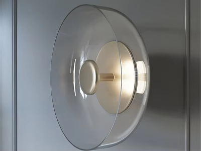 Modern Transparent Lampshade Wall Light With Golden Base On Metallic Wall 3d model