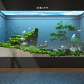 ecological tank aquarium 3d model