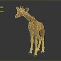 Baby Spotted Giraffe with Long Neck Standing in Gray Reflective Environment