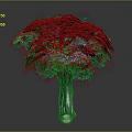 Lush Green Decorative Tree With Dark Textured Trunk And Foliage