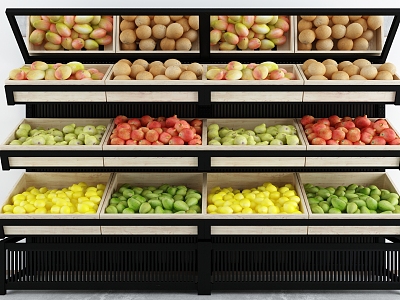 Modern shelf supermarket container model