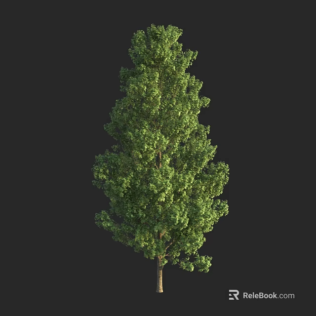 Tall Arbor With Lush Green Foliage And Strong Trunk In Natural Setting 3d model 