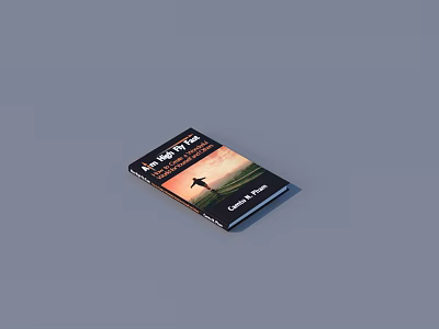 The Way Forward Book Cover Featuring Person Silhouette And Sunset Sky Design 3d model