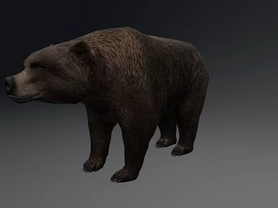 Realistic Brown Bear Game Character 3D Model With Detailed Fur Texture 3d model