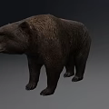 Realistic Brown Bear Game Character 3D Model With Detailed Fur Texture 3d model