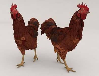 poultry cock hen 3d model