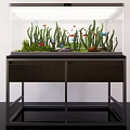 Beautiful Aquarium Fish Tank With Green Aquatic Plants Colorful Fish Stones And Clear Water