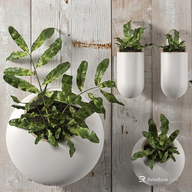 Indoor Potted Plants With Green Leaves In White Wall Mounted Tabletop Pots On Wooden Background 3d model 