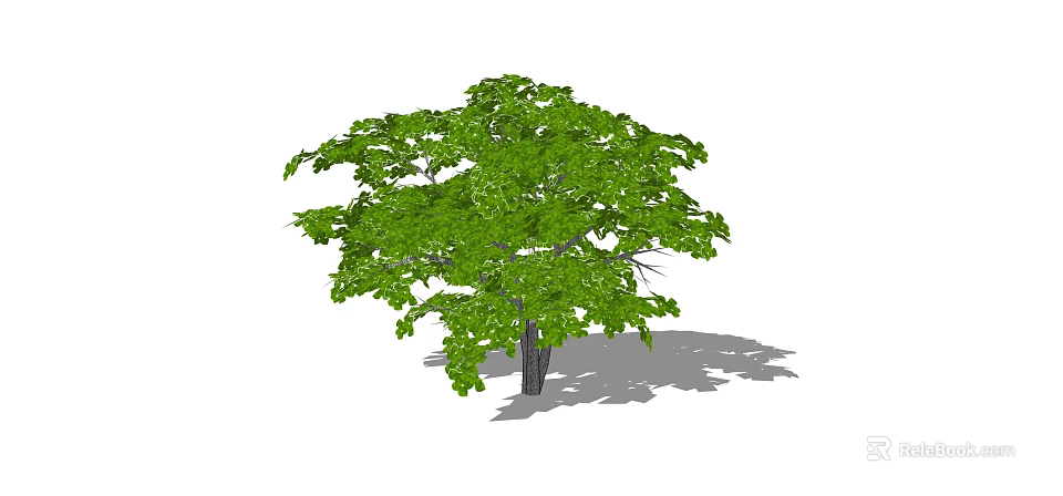 Lush Green Foliage Tree With Brown Trunk And Natural Shadow 3d model 