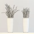 Bonsai Potted Plants In Two Tall Gray Pots With Lush Green Leaves